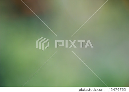 Abstract blurred green background, nature concept Abstract blurred green background, nature concept 43474763