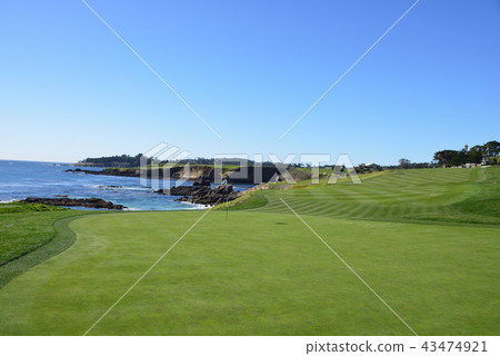 美國圓石灘 43474921