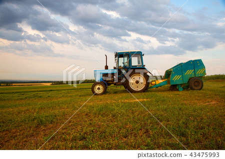 Tractor Collects Dry Grass In Straw Tractor Collects Dry Grass In Straw 43475993