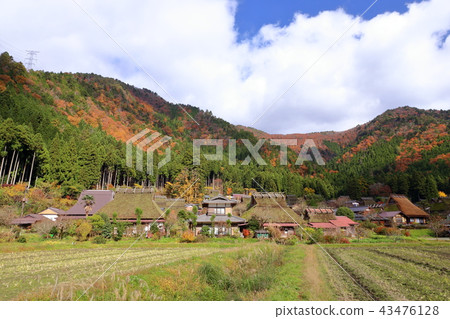 Miyama村莊在秋天 Miyama村莊在秋天 43476128