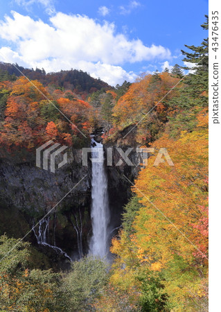 Kegon Waterfall 43476435