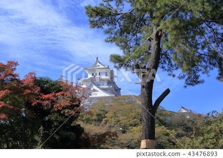 姬路城堡在秋天 姬路城堡在秋天 43476893
