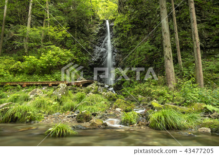 Kashihara Village Ryujin Falls 43477205