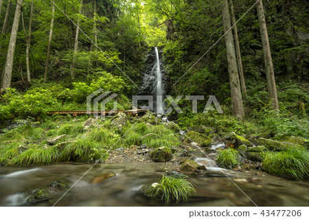 Kashihara Village Ryujin Falls Kashihara Village Ryujin Falls 43477206