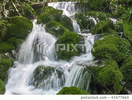 Kamikochi Fountain 43477668