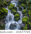 Kamikochi噴泉 43477745