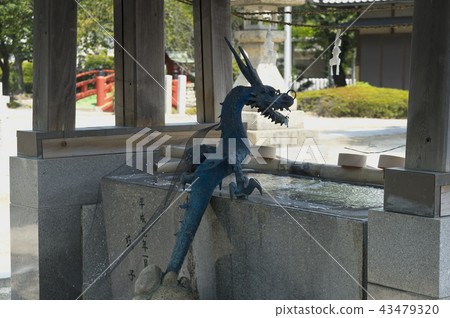 Water spray dragon seen from behind 43479320