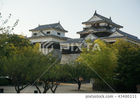 Iyo Matsuyama Castle Iyo Matsuyama Castle 43480111