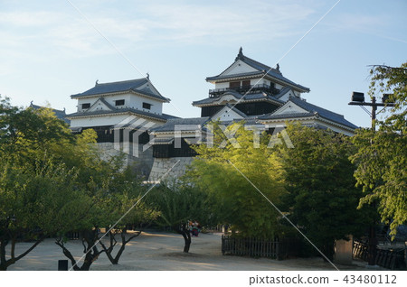 Iyo Matsuyama Castle Iyo Matsuyama Castle 43480112