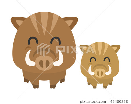 野豬 野豬 43480258