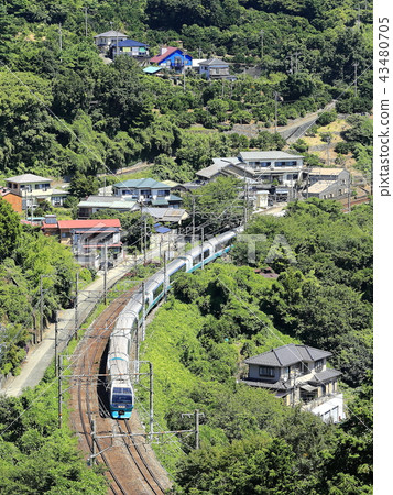 Superview Odoriko 43480705