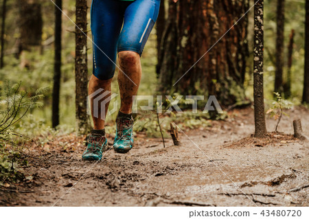 woman runner running in autumn trail woman runner running in autumn trail 43480720