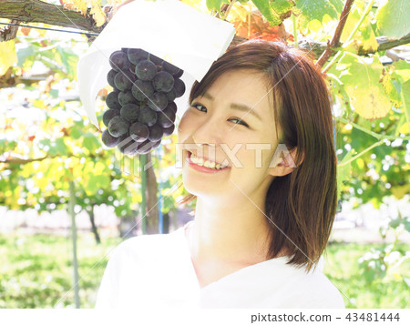 Women bringing their faces close to grapes 43481444