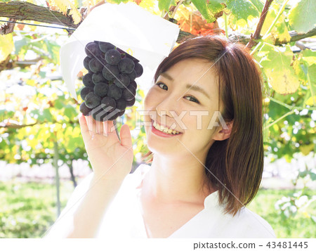 A woman putting her hand on the bottom of the vineyard 43481445