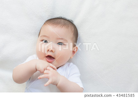 嬰兒 嬰兒 43481585