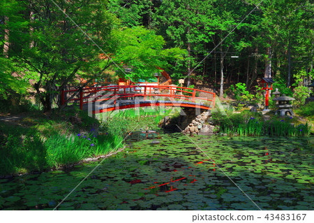 Oharano Shrine Aoizawa Pond和Aoibashi Oharano Shrine Aoizawa Pond和Aoibashi 43483167
