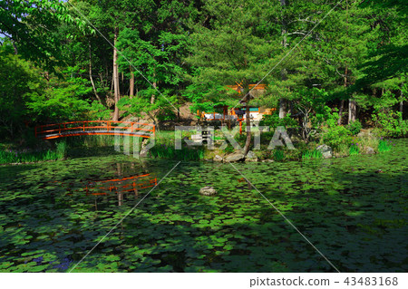 Oharano Shrine Aoizawa Pond and Aoibashi Oharano Shrine Aoizawa Pond and Aoibashi 43483168