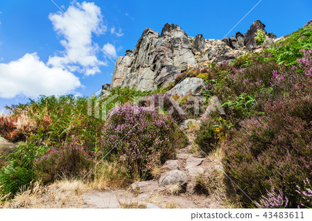 The Roaches, Peak District, UK The Roaches, Peak District, UK 43483611