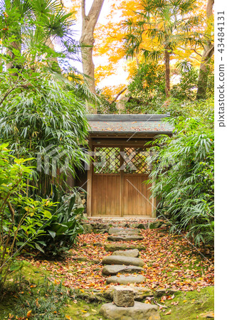 Honen-in's autumn leaves, Tsukiji's small gate and open ground Honen-in's autumn leaves, Tsukiji's small gate and open ground 43484131