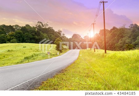 Asphalt road in national park forest. 43484185