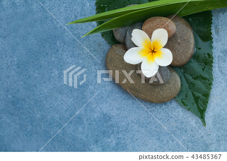 Top view of spa objects with white flowr 43485367