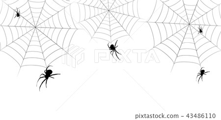 Halloween spider autumn background Halloween spider autumn background 43486110