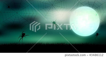 Halloween spider autumn background Halloween spider autumn background 43486112