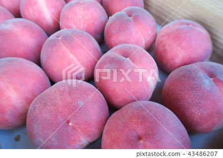 Peaches Peaches 43486207