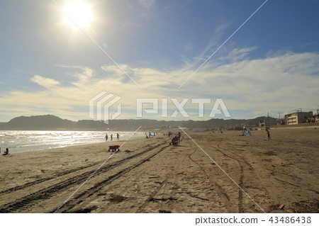 夏季Yuigahama景觀 43486438