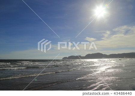 Landscape of summer Yuigahama 43486440