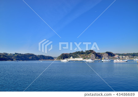 三浦半島松谷漁港 43486689