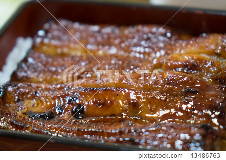 Unaju Unaju 43486763