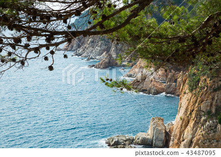 Costa Brava coastline 43487095