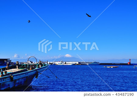 Mt. Fuji seen from Nagai fishing port in Miura Peninsula Mt. Fuji seen from Nagai fishing port in Miura Peninsula 43487190