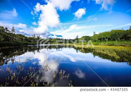 Shinsen swamp 43487385