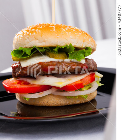 Hamburger is tasty dish on the plate Hamburger is tasty dish on the plate 43487777