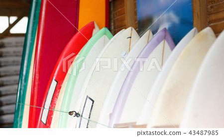 Boards for surfing and stand up paddle boarding for rent in surf club 43487985