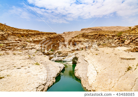 Wadi Bani Carillo（阿曼） 43488085