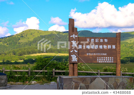 八幡原沼澤 八幡原沼澤 43488088