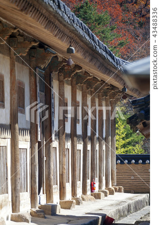 Gyeongsangnam-do, Gyeongnam, Korea, Hapcheon, Haeinsa 43488336