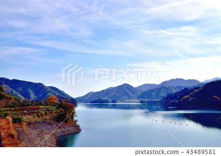 Miyagase dam dyed in beautiful autumn leaves and bright red sandalnut azalea Miyagase dam dyed in beautiful autumn leaves and bright red sandalnut azalea 43489581