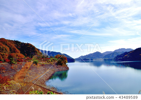 Miyagase dam dyed in beautiful autumn leaves and bright red sandalnut azalea Miyagase dam dyed in beautiful autumn leaves and bright red sandalnut azalea 43489589
