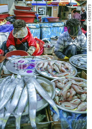 Gyeongsangnam-do,Gyeongnam,Korea,Tongyeong,Traditional Market Gyeongsangnam-do,Gyeongnam,Korea,Tongyeong,Traditional Market 43489773