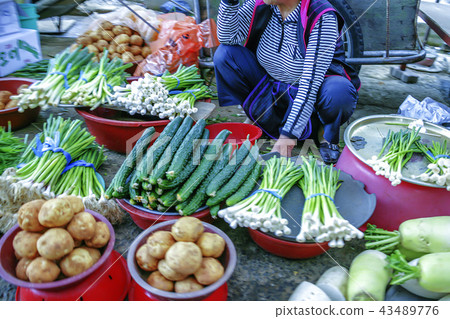 Gyeongsangnam-do,Gyeongnam,Korea,Tongyeong,Traditional Market Gyeongsangnam-do,Gyeongnam,Korea,Tongyeong,Traditional Market 43489776