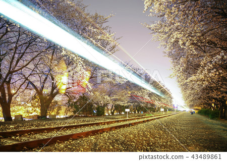 Gyeongsangnam-do, Gyeongnam, Korea, Jinhae, Jinjeong, Kyeonghwa Station Gyeongsangnam-do, Gyeongnam, Korea, Jinhae, Jinjeong, Kyeonghwa Station 43489861