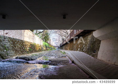 Gyeongsangnam-do,Gyeongnam,Korea,Jinhae Gyeongsangnam-do,Gyeongnam,Korea,Jinhae 43489899