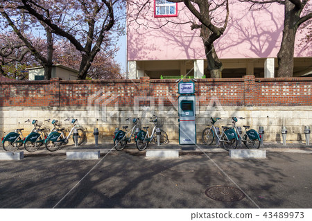 Gyeongsangnam-do, Gyeongnam, Korea, Jinhae 43489973