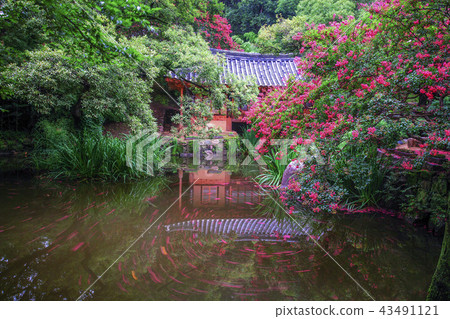 Daejeon, South Korea 43491121