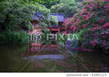 Daejeon, South Korea 43491123