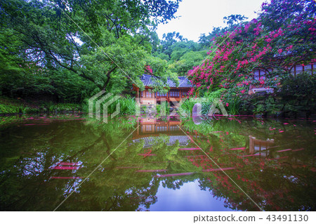 韓國大田 43491130